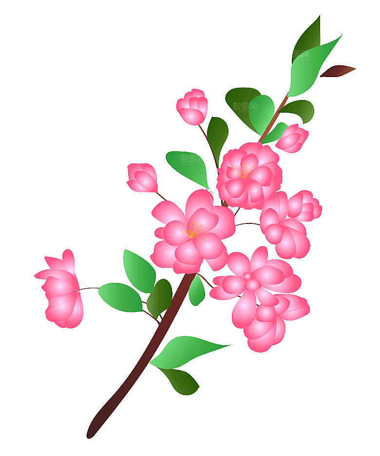 中国风梅花腊梅桃花樱花插画PNG图片素材
