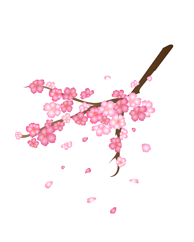 中国风梅花腊梅桃花樱花插画PNG图片素材