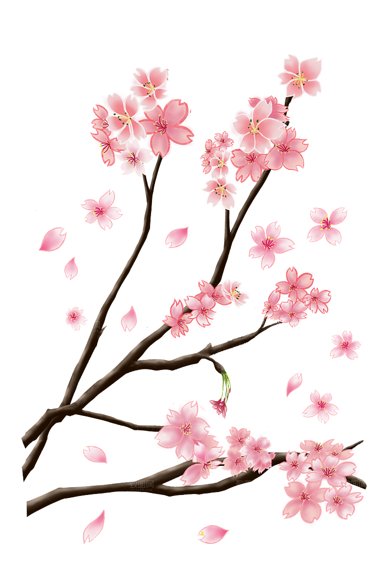 中国风梅花腊梅桃花樱花插画PNG图片素材