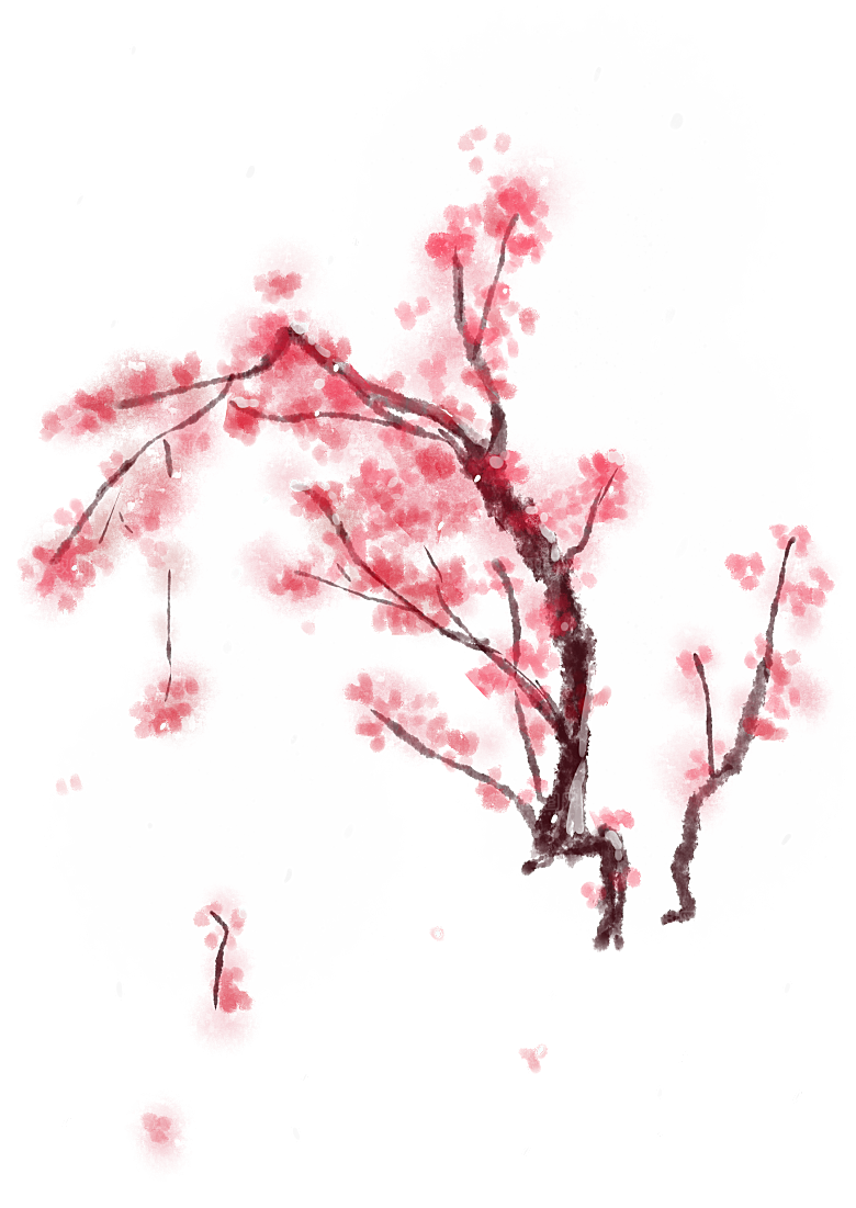 中国风梅花腊梅桃花樱花插画PNG图片素材