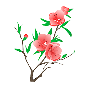 中国风梅花腊梅桃花樱花插画PNG图片素材