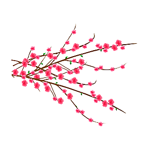 中国风梅花腊梅桃花樱花插画PNG图片素材
