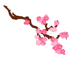 中国风梅花腊梅桃花樱花插画PNG图片素材