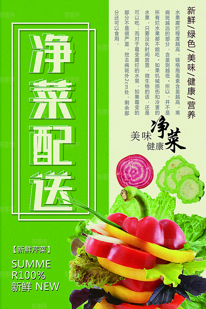 新鲜绿色净菜配送