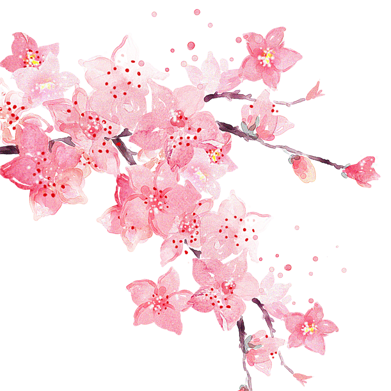 手绘粉红色樱花桃花梅花花朵PNG免抠
