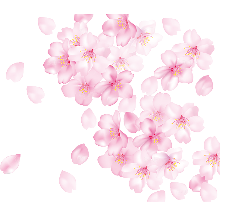 手绘粉红色樱花桃花梅花花朵PNG免抠