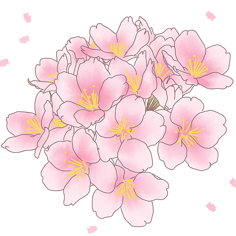 手绘粉红色樱花桃花梅花花朵PNG免抠
