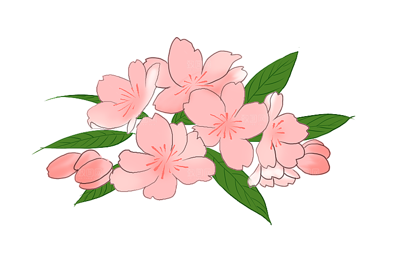 手绘粉红色樱花桃花梅花花朵PNG免抠
