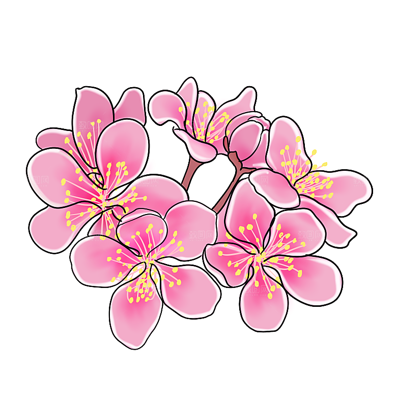 手绘粉红色樱花桃花梅花花朵PNG免抠素材