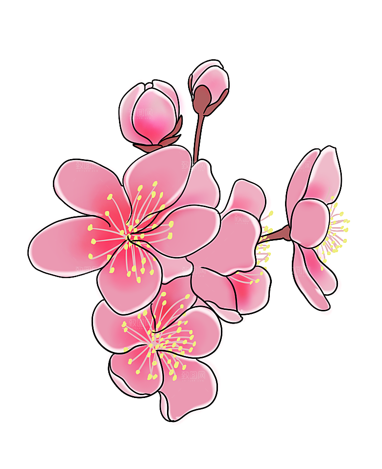 手绘粉红色樱花桃花梅花花朵PNG免抠素材