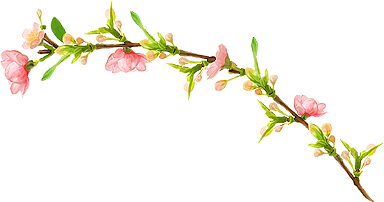 手绘粉红色樱花桃花梅花花朵PNG免抠素材