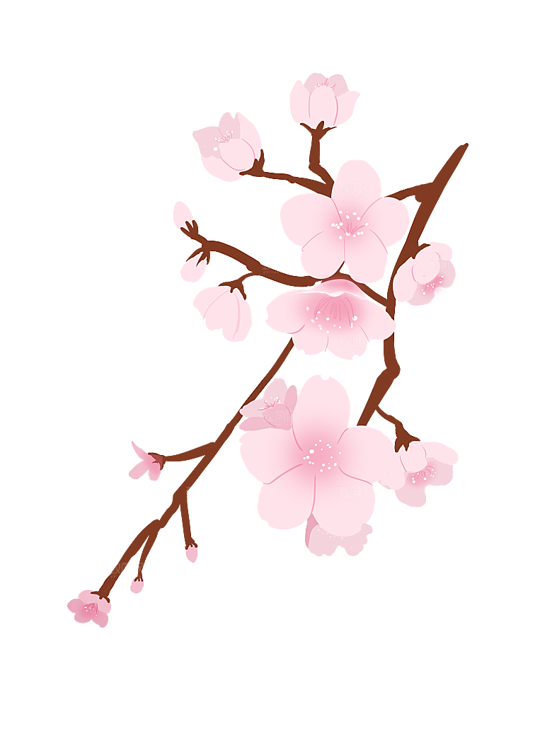 手绘粉红色樱花桃花梅花花朵PNG免抠素材