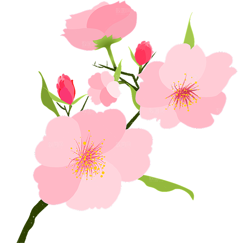 手绘粉红色樱花桃花梅花花朵PNG免抠