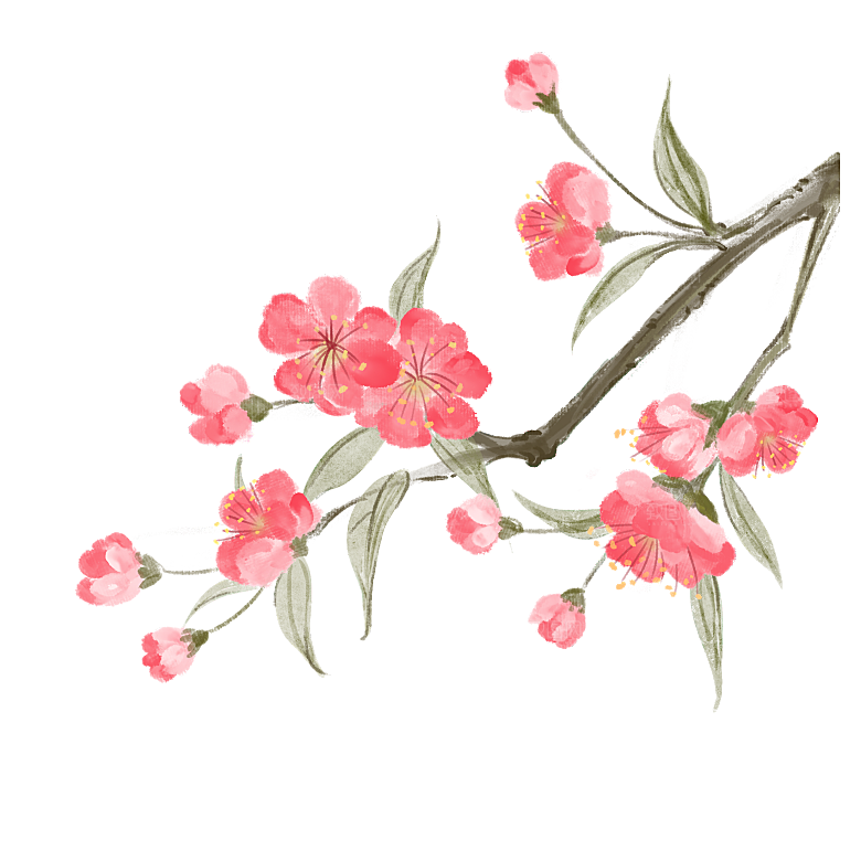 手绘粉红色樱花桃花梅花花朵PNG免抠
