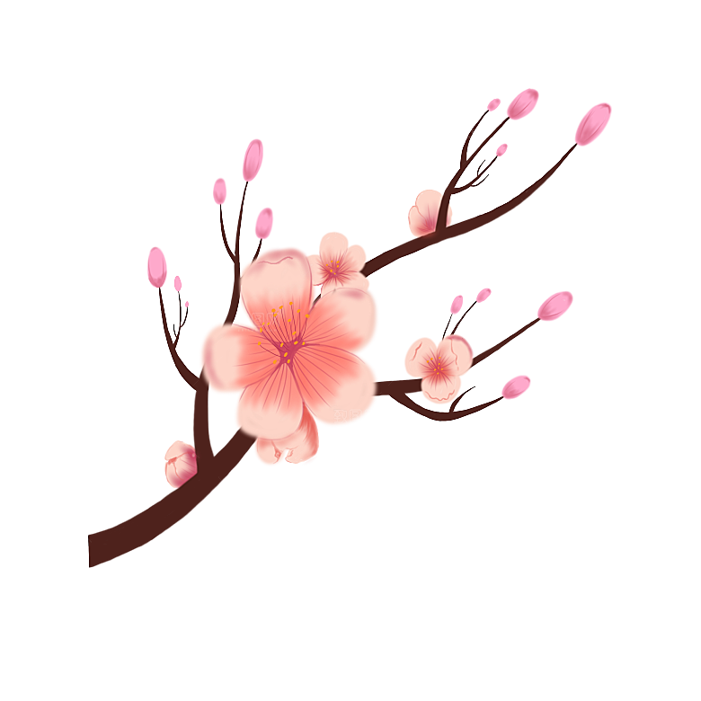 手绘粉红色樱花桃花梅花花朵PNG免抠