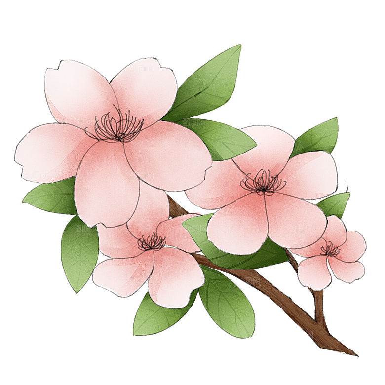 手绘粉红色樱花桃花梅花花朵PNG免抠素材