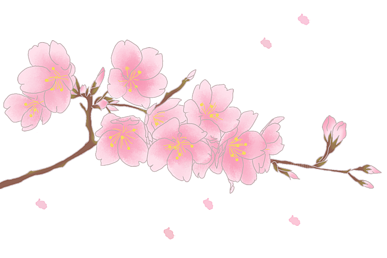 手绘粉红色樱花桃花梅花花朵PNG免抠素材