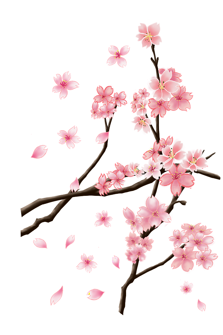 手绘粉红色樱花桃花梅花花朵PNG免抠素材