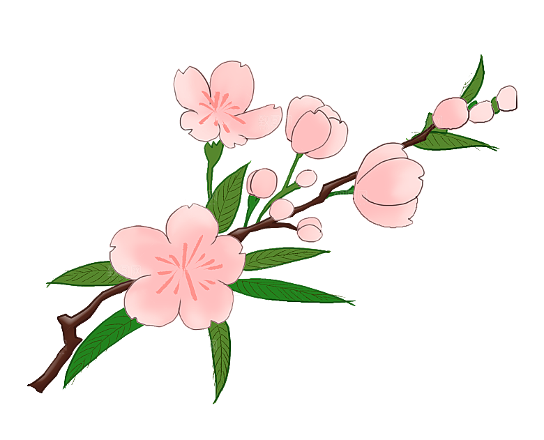 手绘粉红色樱花桃花梅花花朵PNG免抠素材