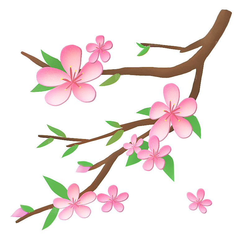 手绘粉红色樱花桃花梅花花朵PNG免抠素材