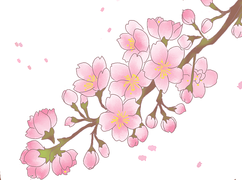 手绘粉红色樱花桃花梅花花朵PNG免抠素材