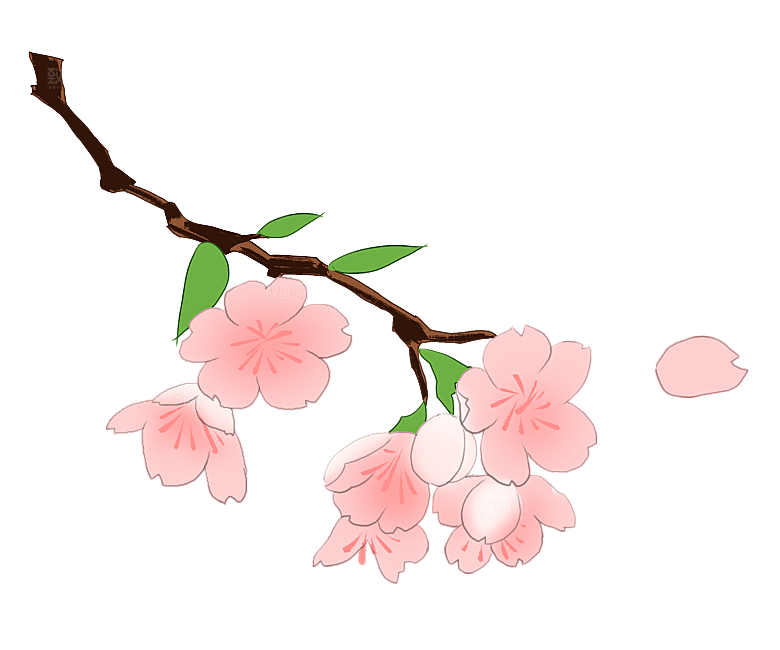 手绘粉红色樱花桃花梅花花朵PNG免抠