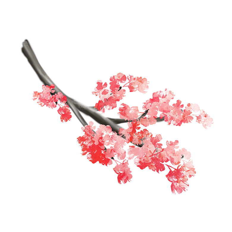 手绘粉红色樱花桃花梅花花朵PNG免抠