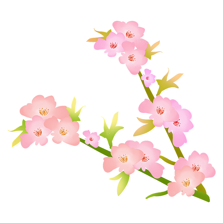 手绘粉红色樱花桃花梅花花朵PNG免抠