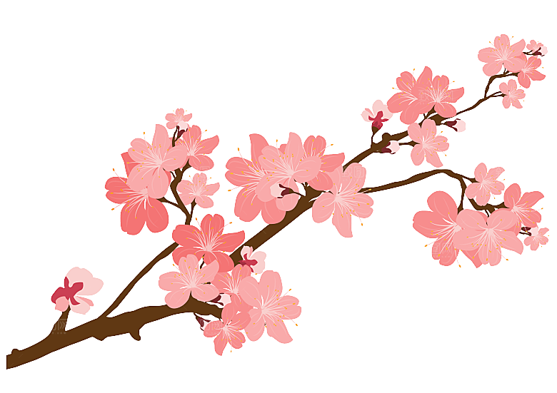 手绘粉红色樱花桃花梅花花朵PNG免抠