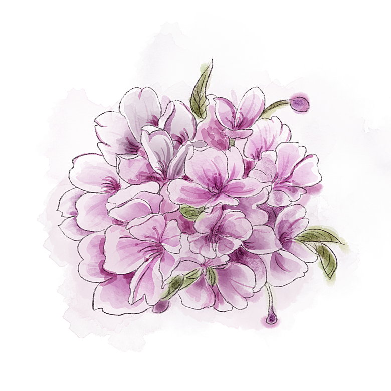 手绘粉红色樱花桃花梅花花朵PNG免抠