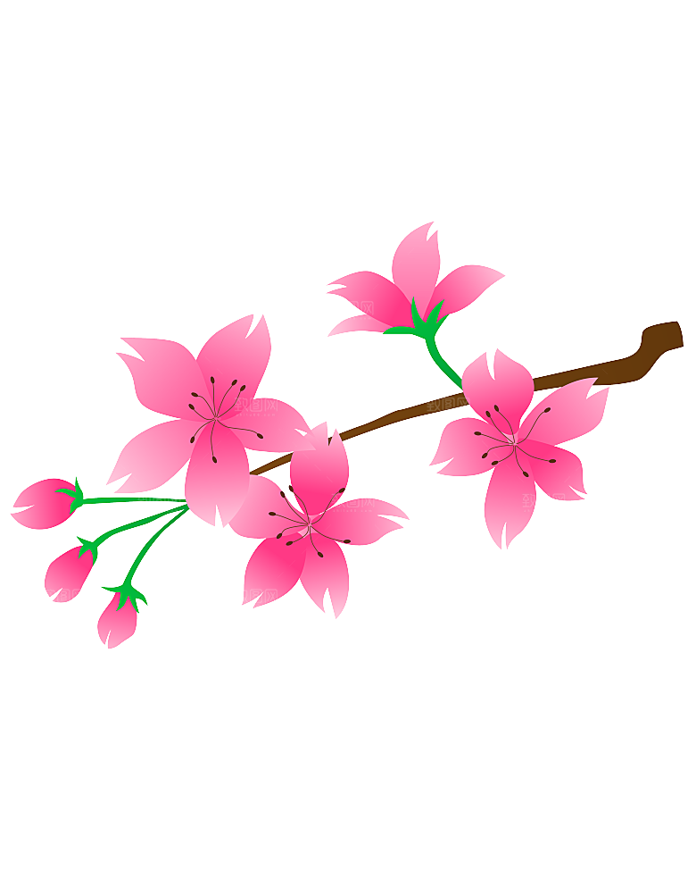手绘粉红色樱花桃花梅花花朵PNG免抠