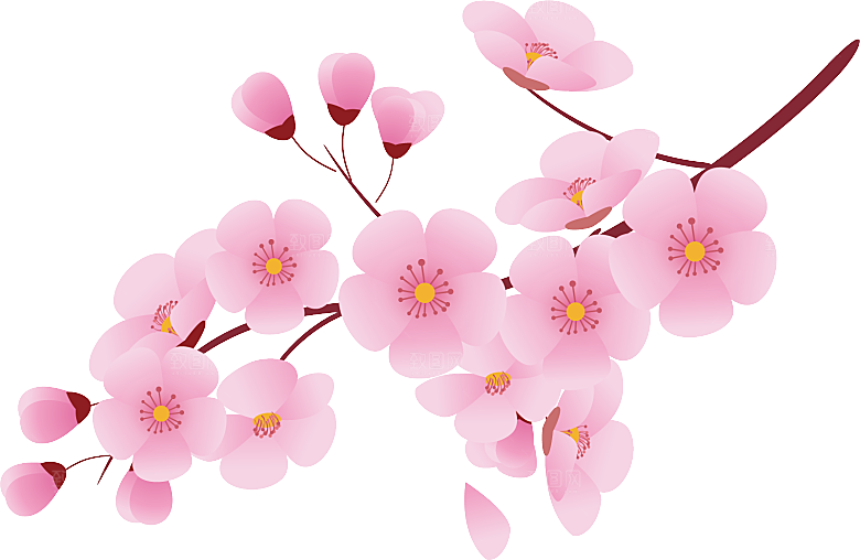 手绘粉红色樱花桃花梅花花朵PNG免抠