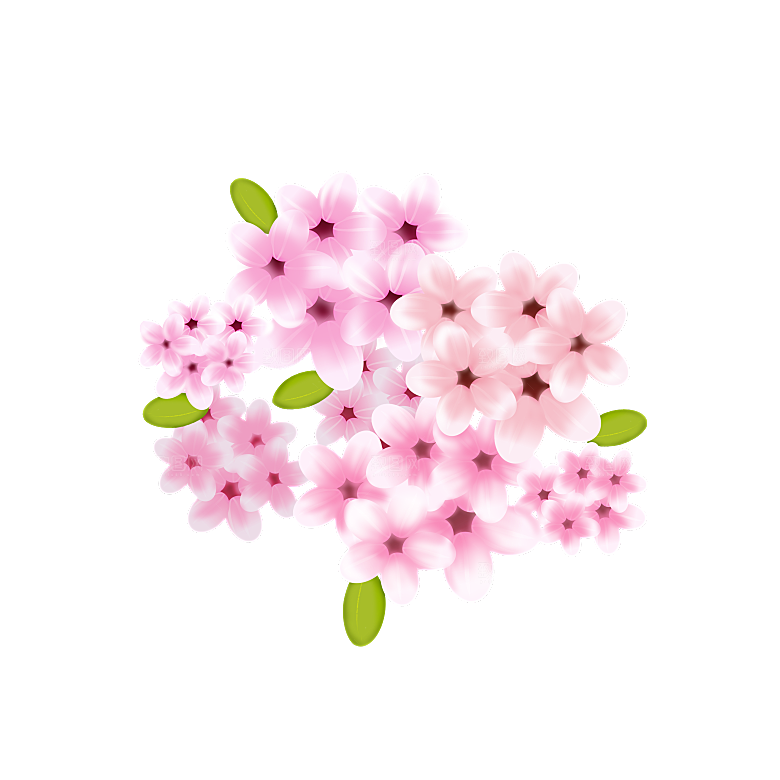 手绘粉红色樱花桃花梅花花朵PNG免抠