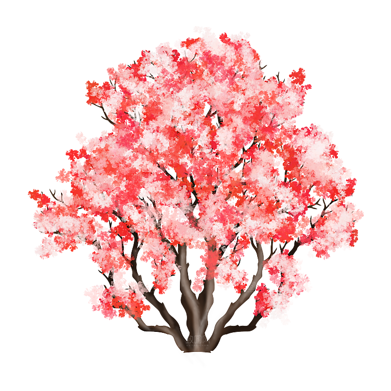 手绘粉红色樱花桃花梅花花朵PNG免抠