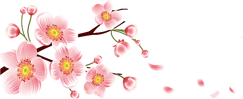 手绘粉红色樱花桃花梅花花朵PNG免抠素材