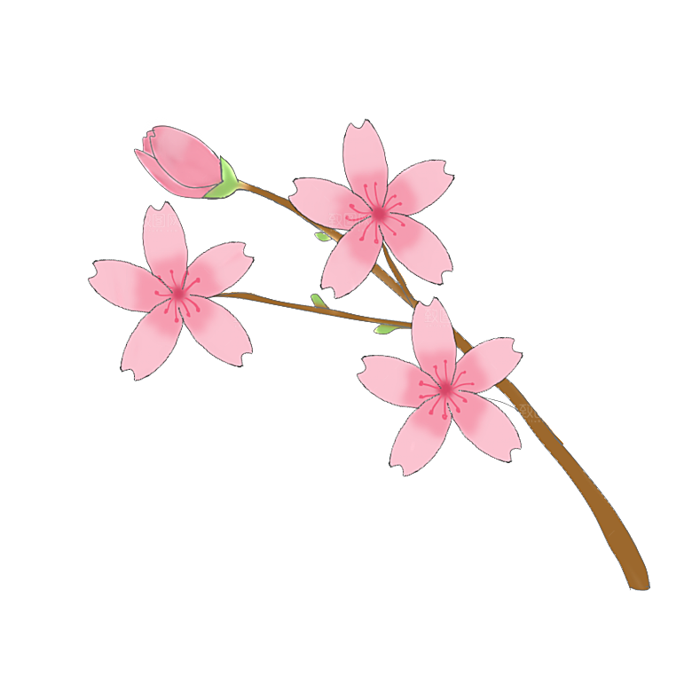 手绘粉红色樱花桃花梅花花朵PNG免抠素材