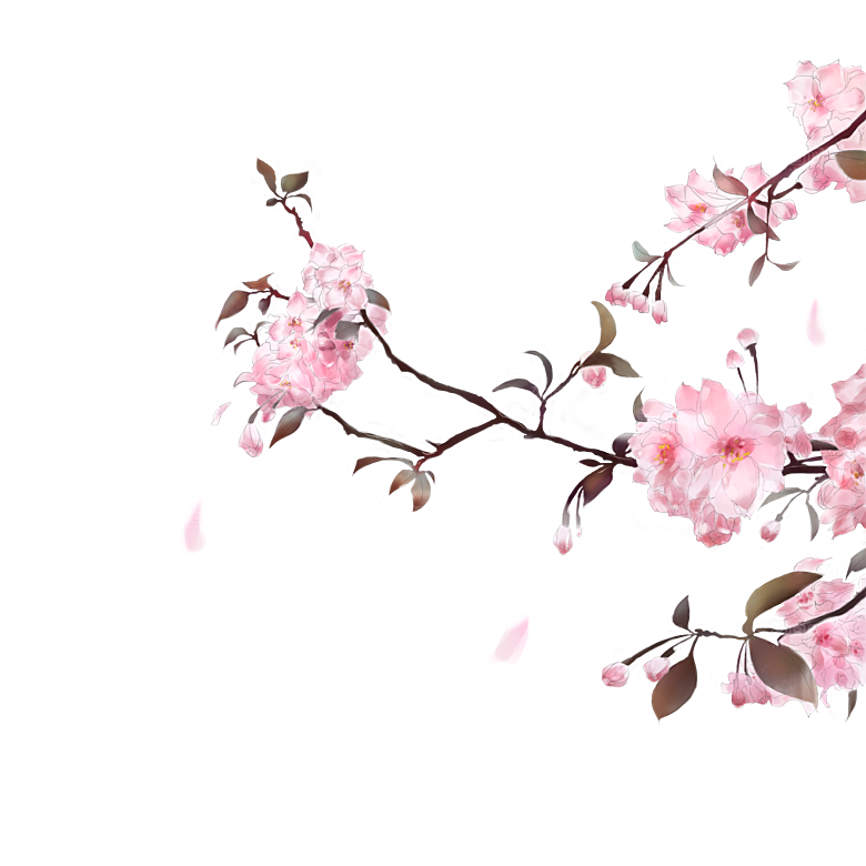 手绘粉红色樱花桃花梅花花朵PNG免抠素材