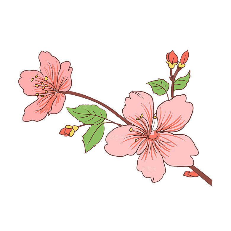 手绘粉红色樱花桃花梅花花朵PNG免抠素材