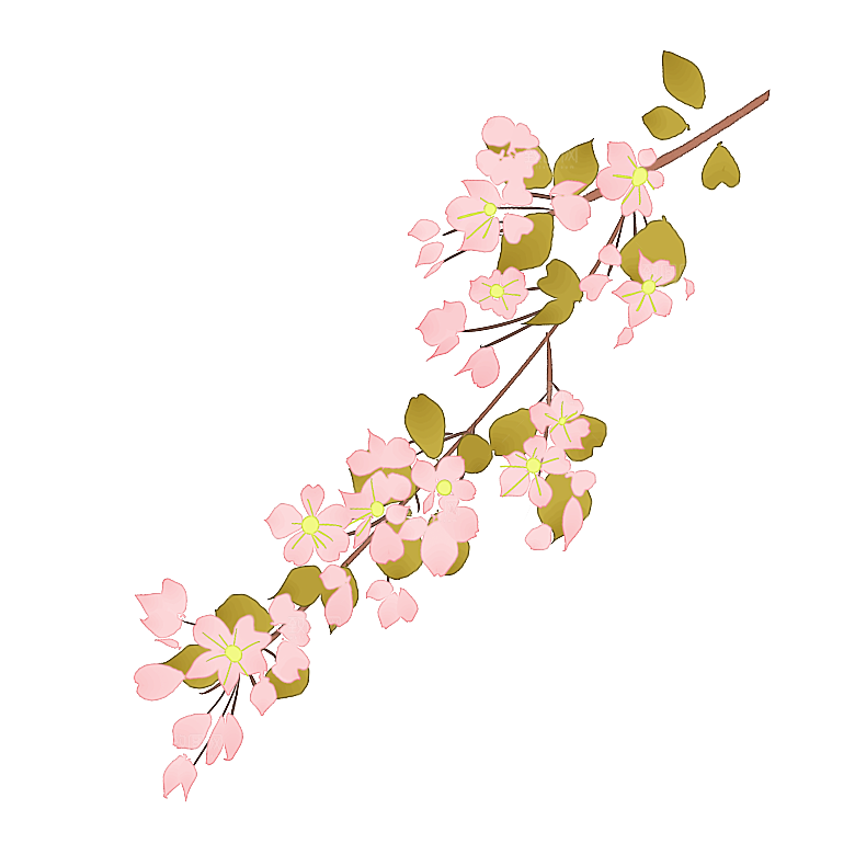 手绘粉红色樱花桃花梅花花朵PNG免抠素材