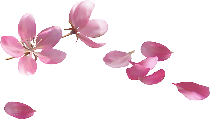 手绘粉红色樱花桃花梅花花朵PNG免抠素材