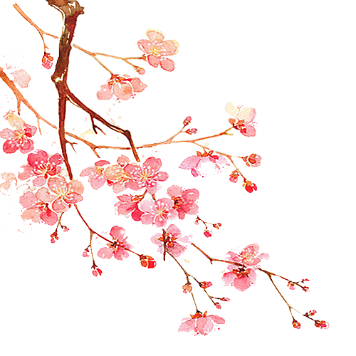手绘粉红色樱花桃花梅花花朵PNG免抠素材