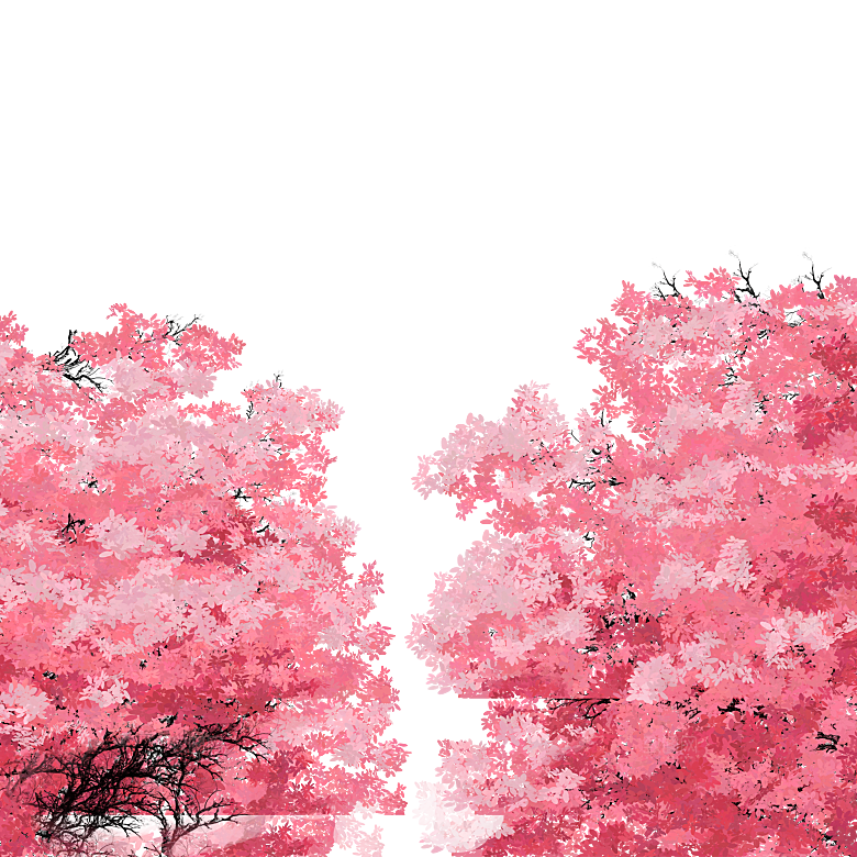 手绘粉红色樱花桃花梅花花朵PNG免抠素材