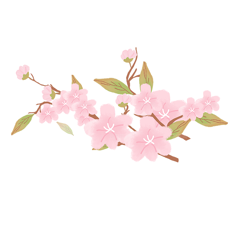 手绘粉红色樱花桃花梅花花朵PNG免抠