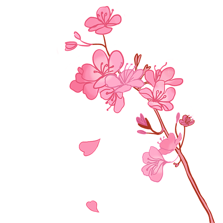 手绘粉红色樱花桃花梅花花朵PNG免抠