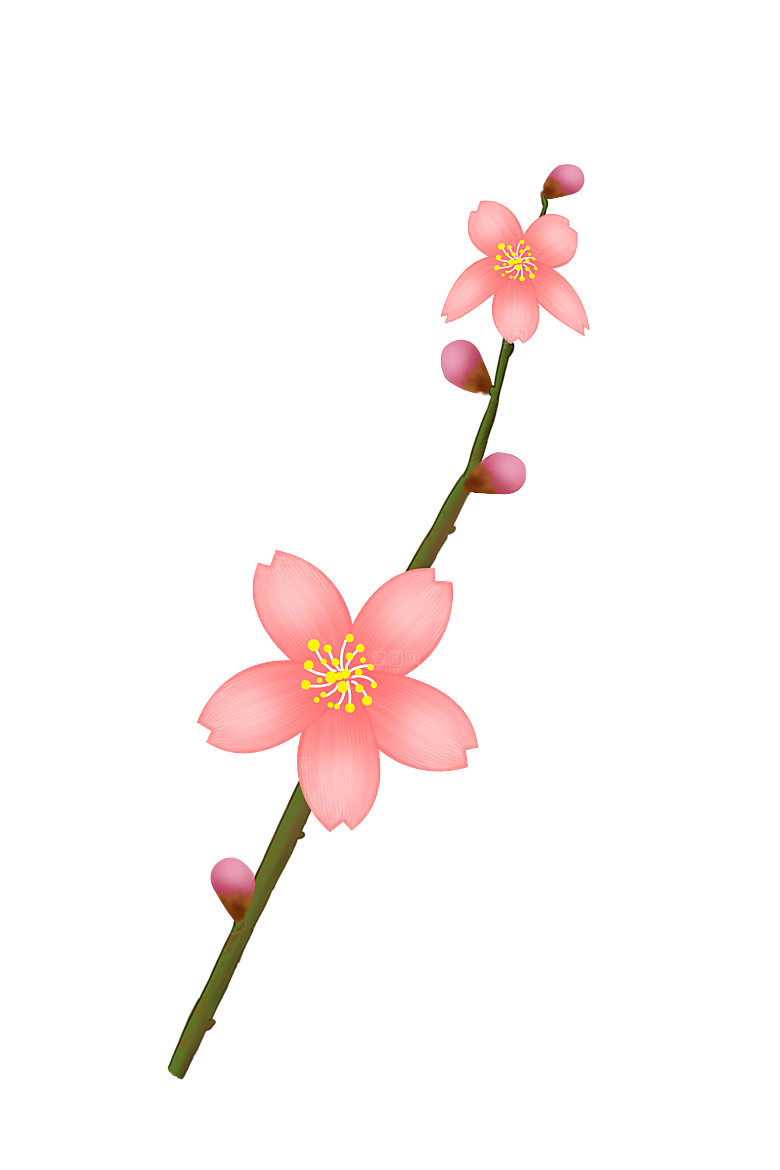 手绘粉红色樱花桃花梅花花朵PNG免抠素材