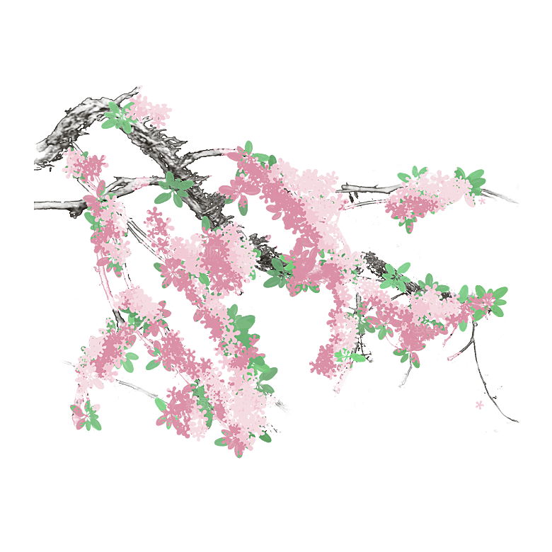 手绘粉红色樱花桃花梅花花朵PNG免抠素材