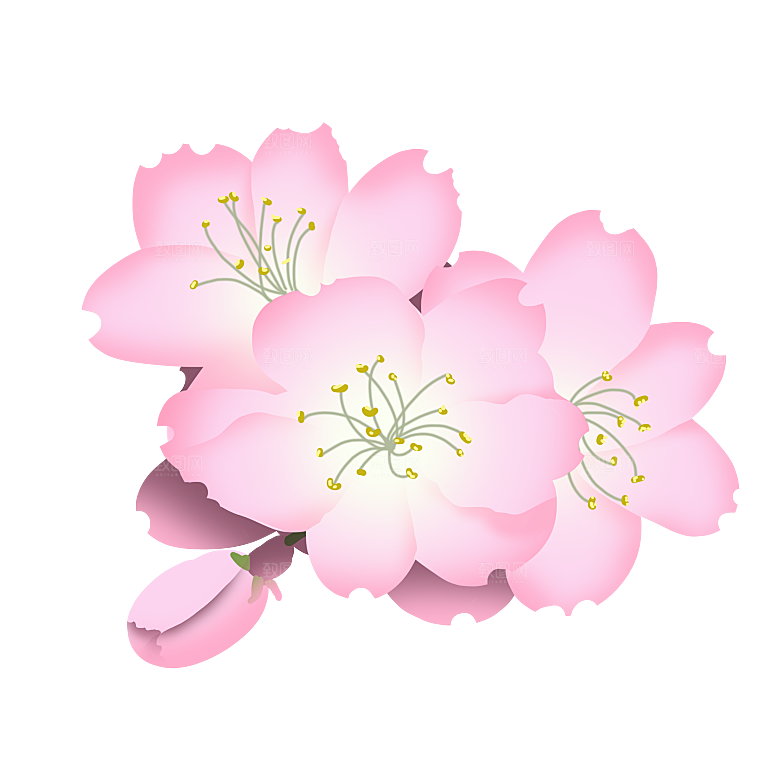 手绘粉红色樱花桃花梅花花朵PNG免抠素材