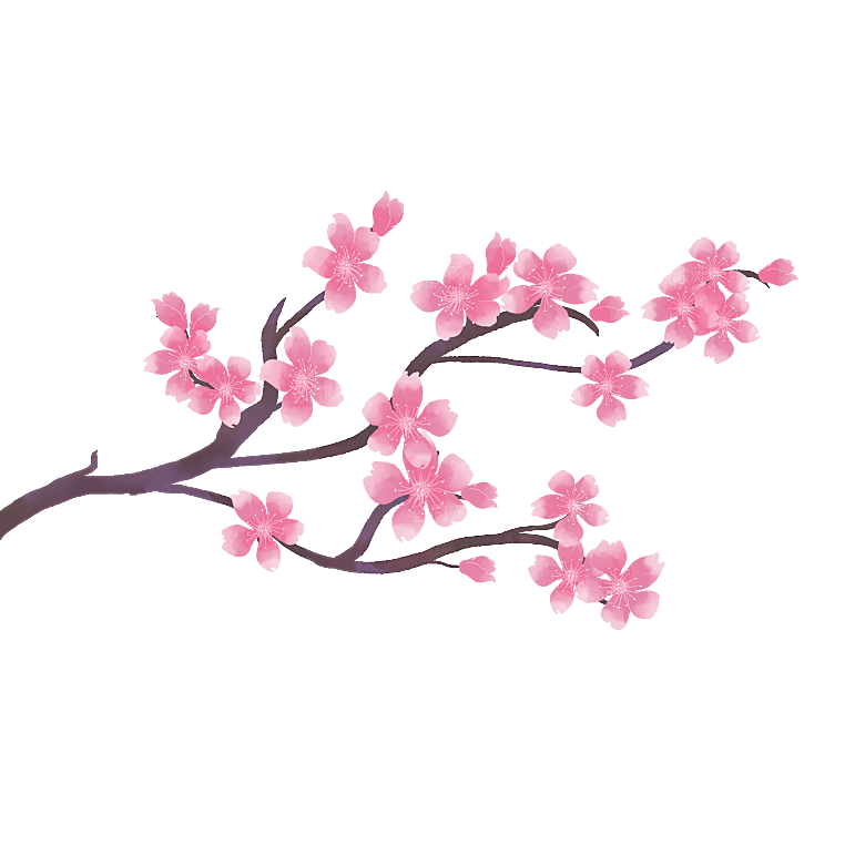 手绘粉红色樱花桃花梅花花朵PNG免抠素材