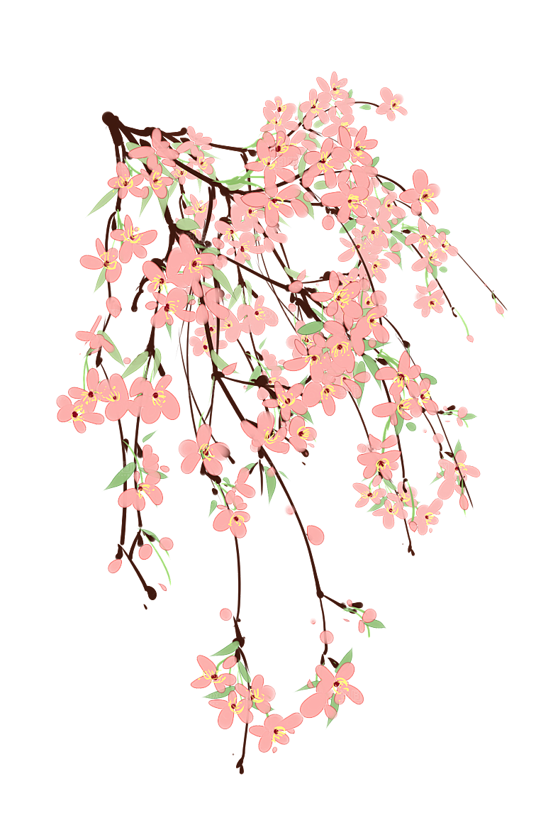 手绘粉红色樱花桃花梅花花朵PNG免抠素材