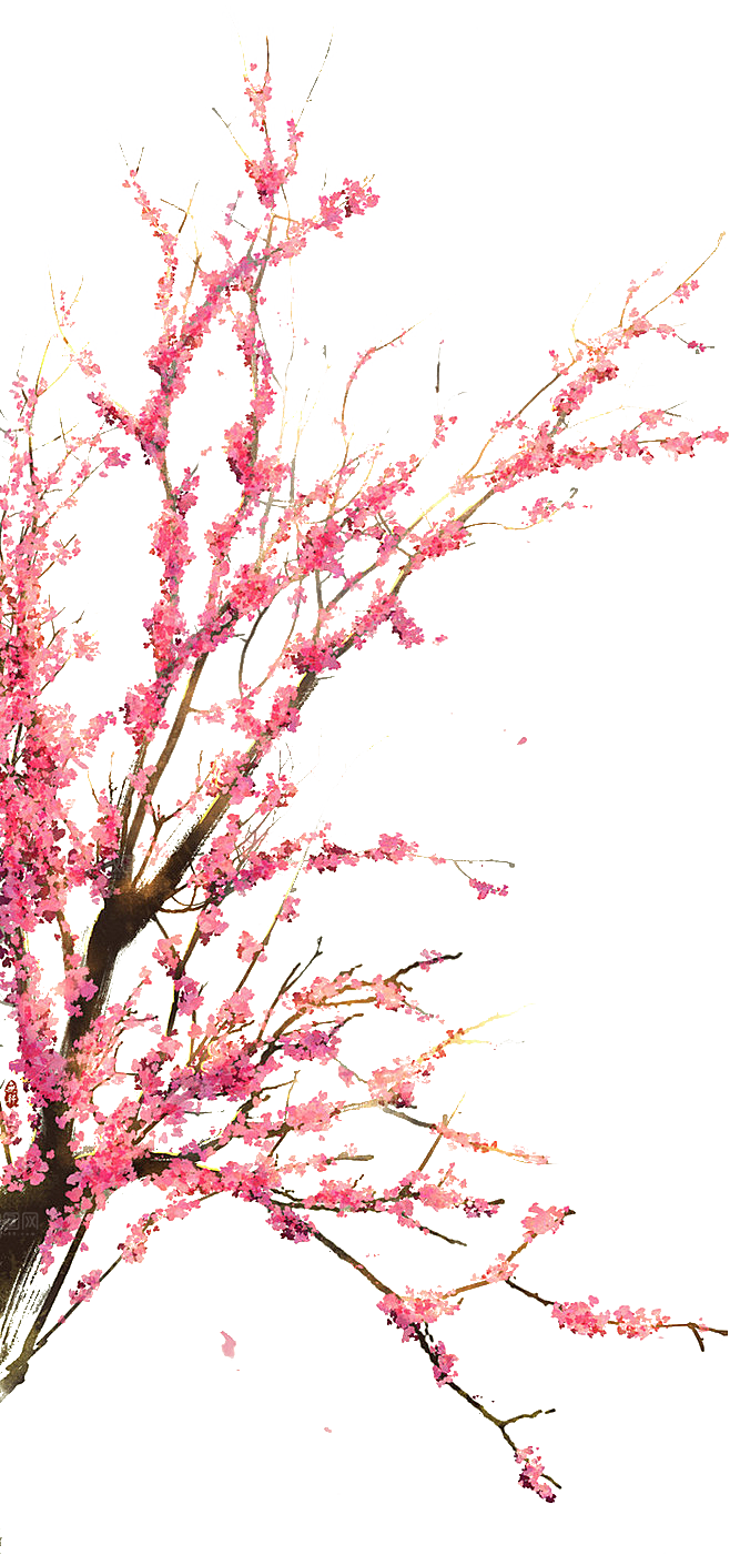 手绘粉红色樱花桃花梅花花朵PNG免抠素材